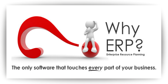 Why ERP Application Required